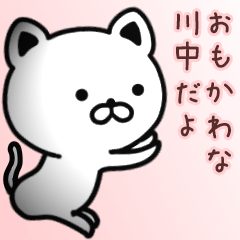 [LINEスタンプ] 川中さん専用面白可愛い名前スタンプ