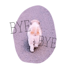 [LINEスタンプ] まーぶる