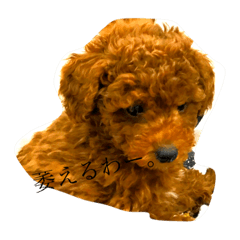 [LINEスタンプ] るーたんっ