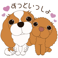 [LINEスタンプ] キャバリア＆プードル1-めるもこスタンプ