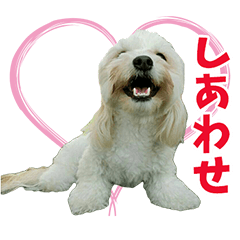 [LINEスタンプ] ダップーどれみ♬