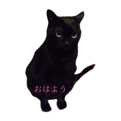 [LINEスタンプ] えびくろ