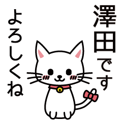 [LINEスタンプ] 澤田さんと澤田さんの友達用