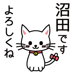 [LINEスタンプ] 沼田さんと沼田さんの友達用