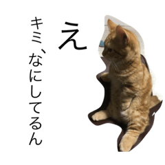 [LINEスタンプ] 猫人間しゅんくん 4