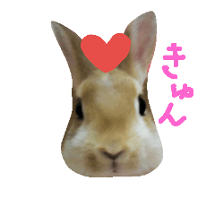 [LINEスタンプ] フワフワまもちゃん