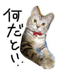 [LINEスタンプ] モネさん