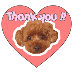 [LINEスタンプ] noel ！！！！！！
