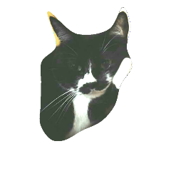 [LINEスタンプ] fatcat wish