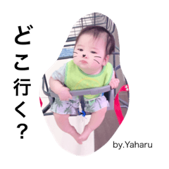 [LINEスタンプ] やはるくんだよ