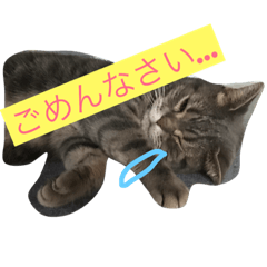 [LINEスタンプ] みんと2