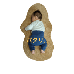 [LINEスタンプ] たかかん兄弟