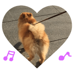 [LINEスタンプ] Love My Dog's (p)