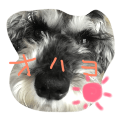 [LINEスタンプ] らんぼーくん