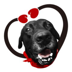 [LINEスタンプ] P. Black Labrador5
