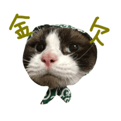 [LINEスタンプ] こはくさんスタンプpart2