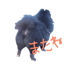 [LINEスタンプ] ぐっちゃんの日常2