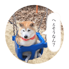 [LINEスタンプ] ユズは柴犬
