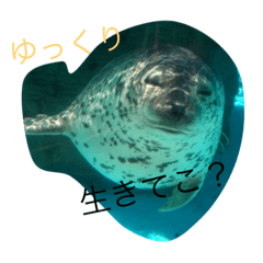 [LINEスタンプ] 愛すべき生き物たち