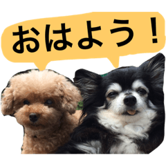 [LINEスタンプ] ちんとぷぅ