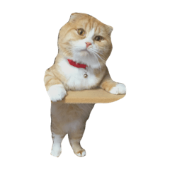 [LINEスタンプ] かわいい みるくん
