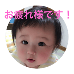 [LINEスタンプ] なしさんスタンプ その一