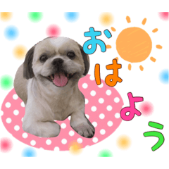 [LINEスタンプ] Hime Stamp...