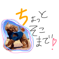 [LINEスタンプ] わんスタ