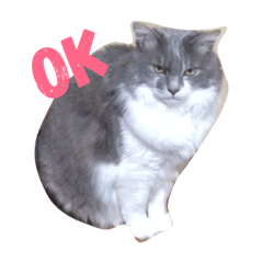 [LINEスタンプ] むーちむ