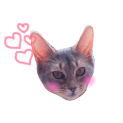 [LINEスタンプ] らんぞー第2弾