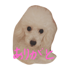 [LINEスタンプ] ぷーちゃん達