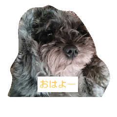 [LINEスタンプ] ShimaRiku2