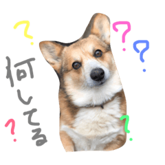 [LINEスタンプ] gnk