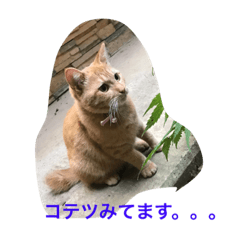 [LINEスタンプ] 香能 コテツ