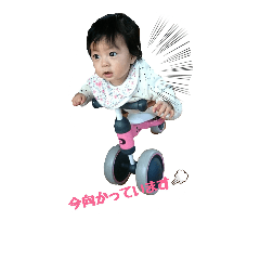 [LINEスタンプ] shimashimastamp2