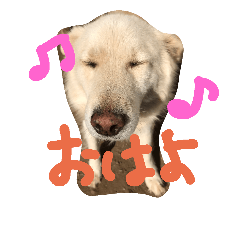 [LINEスタンプ] ムックからあいさつ