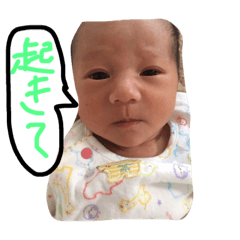 [LINEスタンプ] babybabybaby2