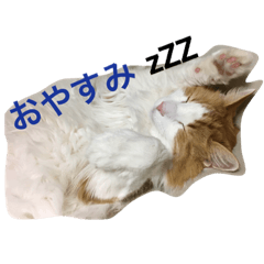 [LINEスタンプ] こおりとモコ