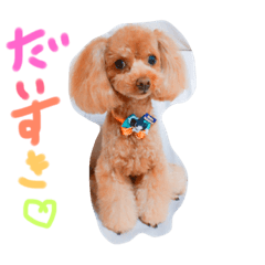 [LINEスタンプ] シェリーといっしょ