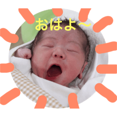 [LINEスタンプ] うちの柊ちゃん★