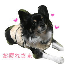 [LINEスタンプ] ♡moca♡