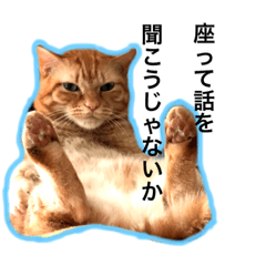 [LINEスタンプ] うちねこすたんぷ