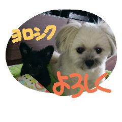 [LINEスタンプ] paruritan2