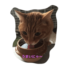 [LINEスタンプ] mugi＆kiki  2