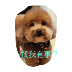 [LINEスタンプ] Can I help you？