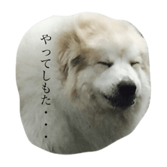 [LINEスタンプ] YONEYA DOG