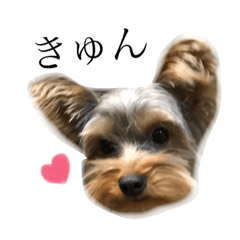 [LINEスタンプ] こてつらいふ 2