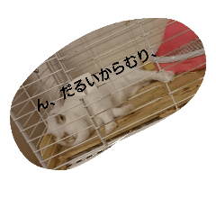 [LINEスタンプ] my love love pet
