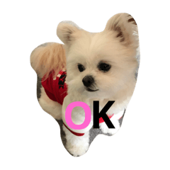 [LINEスタンプ] ICHIAZUMAA