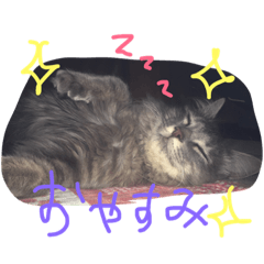 [LINEスタンプ] よく使うみゅー＆ごんた